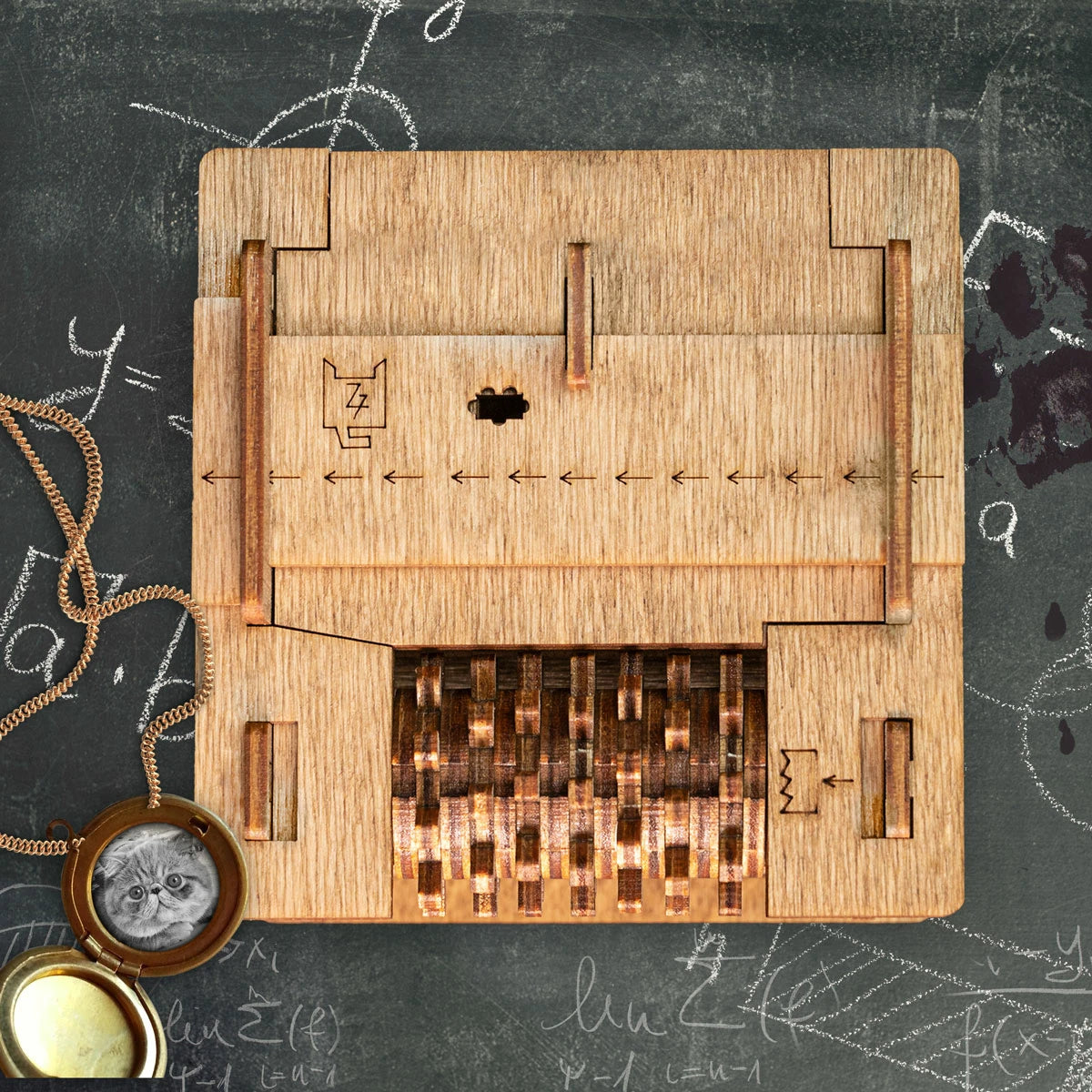 Schrödinger’s Cat Wooden Puzzle Box
