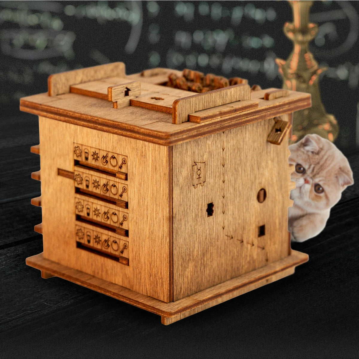 Schrödinger’s Cat Wooden Puzzle Box